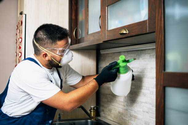 Best Cockroach Control Services  in Wartburg, TN