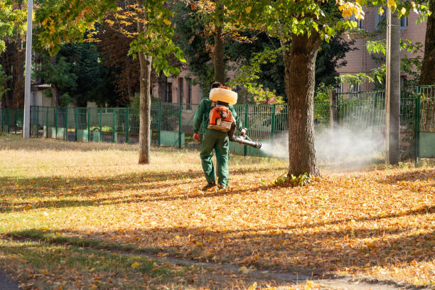 Professional Pest Control in Wartburg, TN