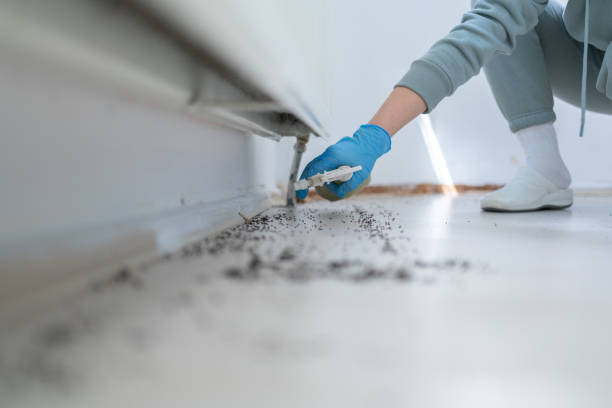 Best Pest Control Near Me in Wartburg, TN