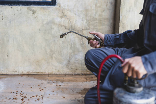 Best Best Pest Control Companies  in Wartburg, TN