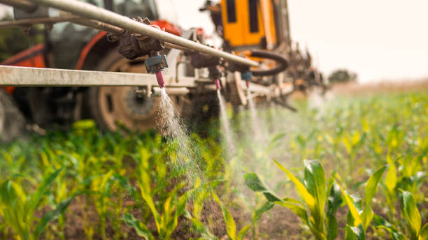 Best Pest Control for Businesses  in Wartburg, TN